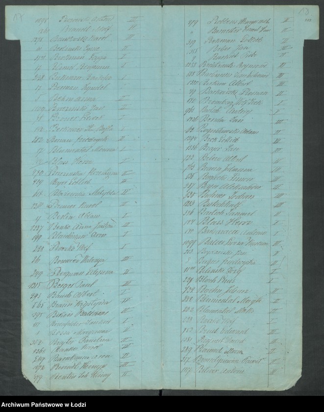 Obraz 13 z jednostki "Skorowidz [...]"