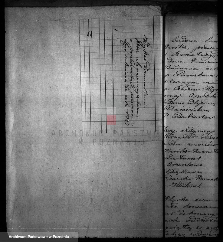 Obraz 15 z jednostki "Majętność leśna w Kwilczu w powiecie międzychodzkim"