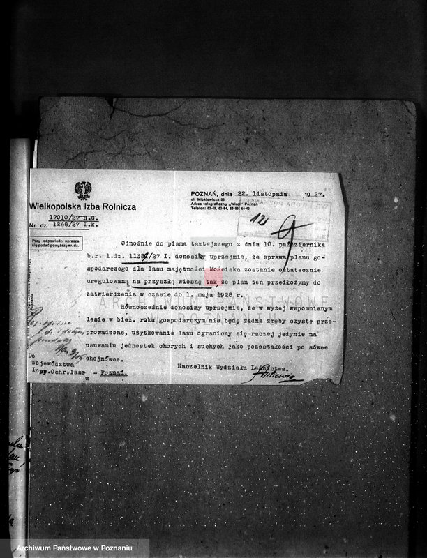 Obraz 17 z jednostki "Majętność leśna Kostrzynek-Mościska powiat wyrzyski"