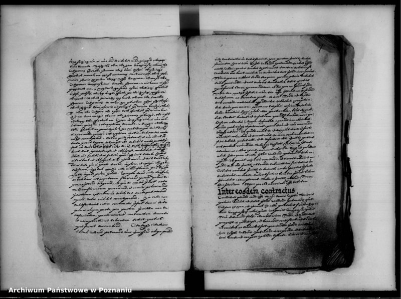 Obraz 11 z jednostki "Inscriptiones, relationes [inducta]"