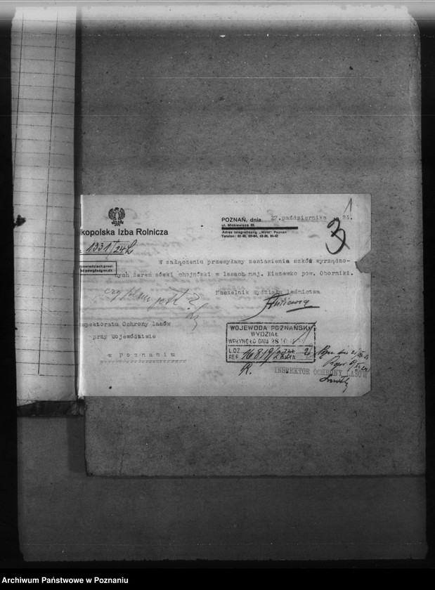 image.from.unit.number "Nadzór nad gospodarką w lasach majętności Kiszewko powiat obornicki"