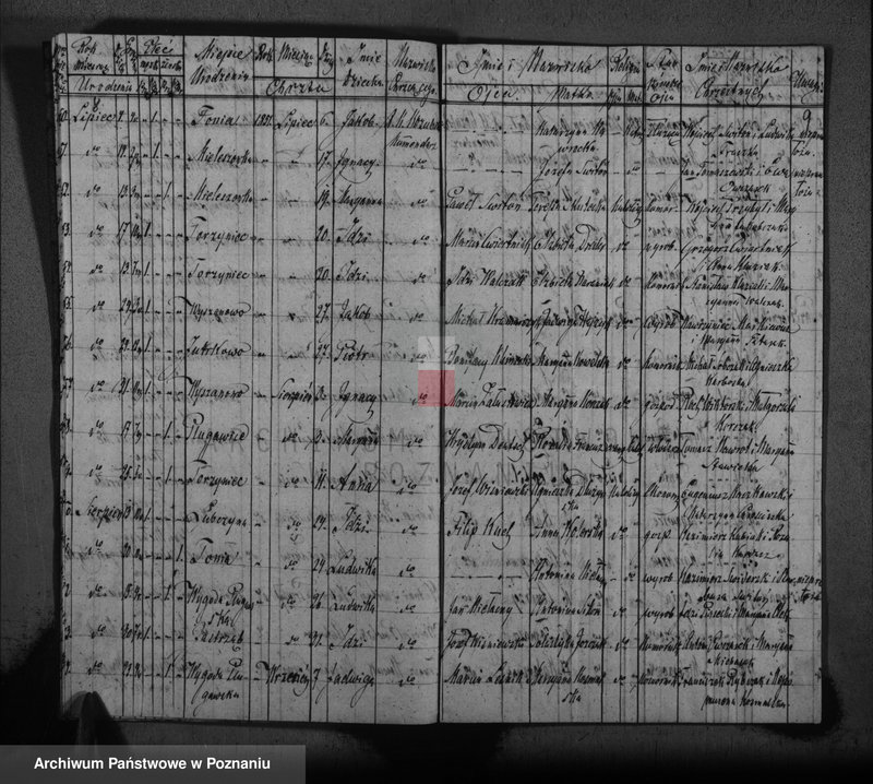 image.from.unit.number "Księga urodzonych, zaślubionych i zmarłych"