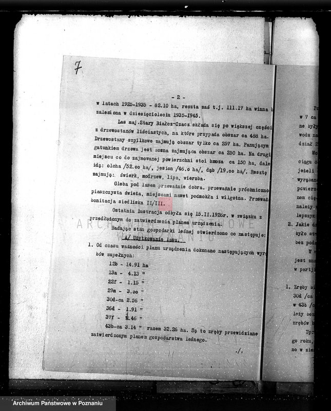 Obraz 11 z jednostki "Nadzór nad gospodarką w lasach majętności Czacz-Białcz powiat kościański"