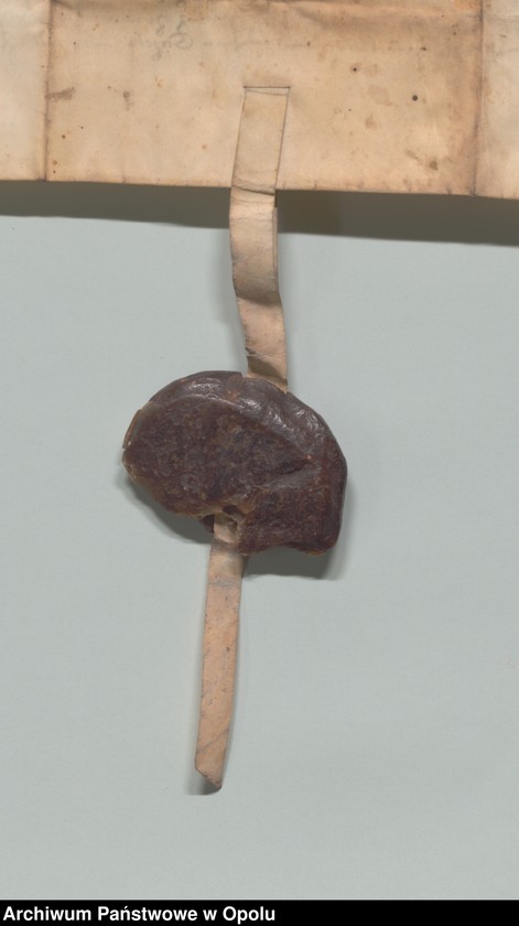 Obraz 5 z jednostki "Jan książę na Śląsku, Opolu, Głogówku etc. potwierdza tytuł własności Zygmunta Stoss