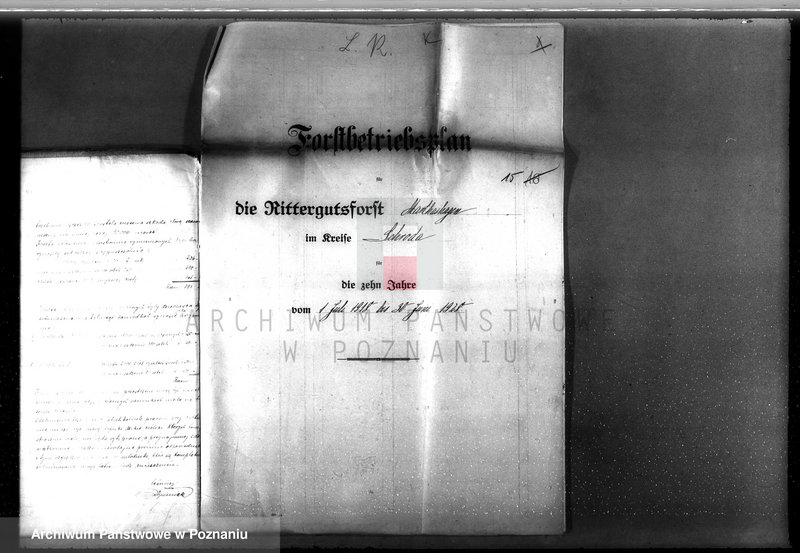 Obraz 20 z jednostki "Drzewostan na majątku państwowym Chwałkowo powiat średzki"