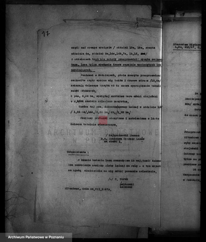 Obraz 19 z jednostki "Majętność Wituchowo w powiecie międzychodzkim"