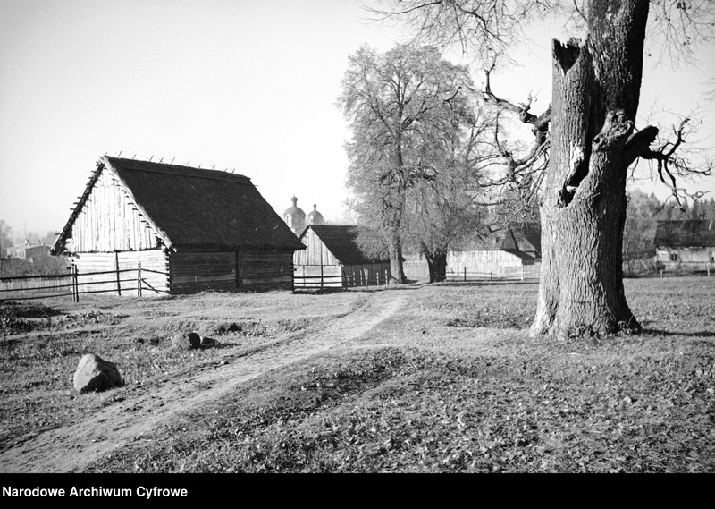 Obiekt Zabudowania wiejskie. W tle wieże cerkwi. z jednostki Białowieża