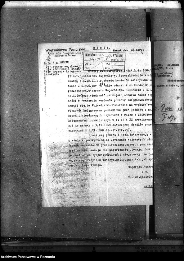 Obraz 20 z jednostki "- księgosusz -"