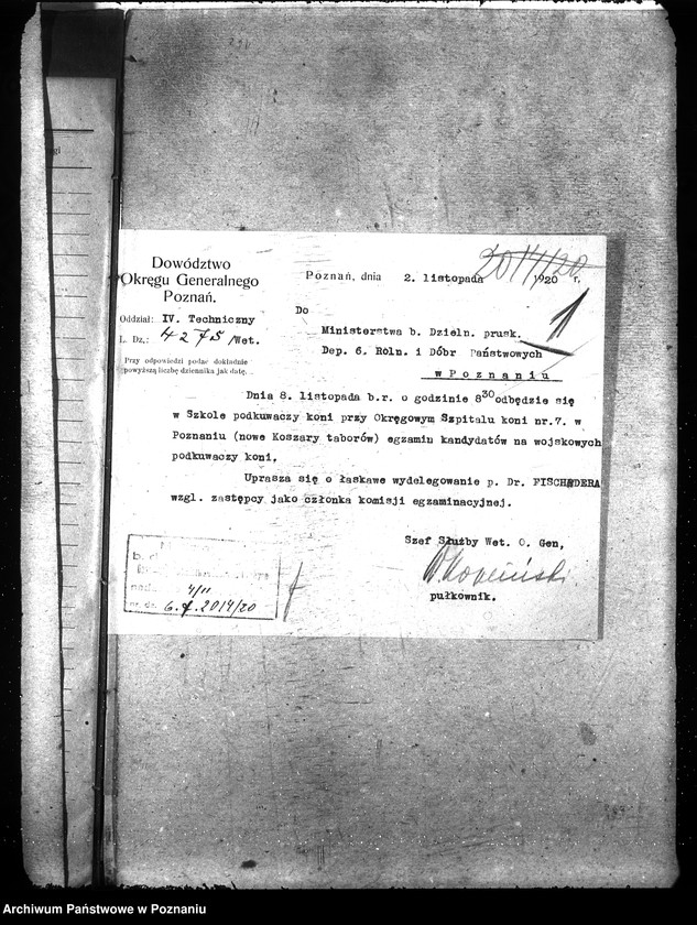 Obraz 5 z jednostki "Podkuwacze koni"