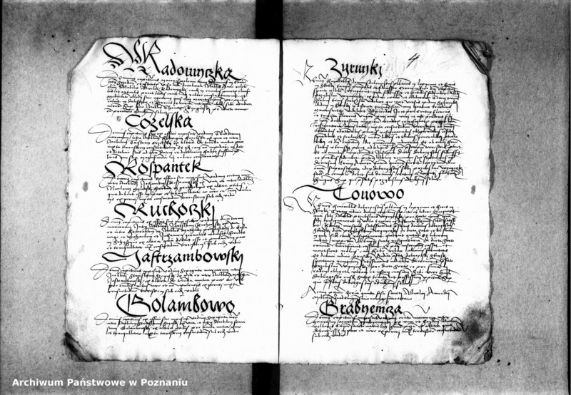 Obraz 10 z jednostki "Inscriptiones, relationes, decreta [inducta]"