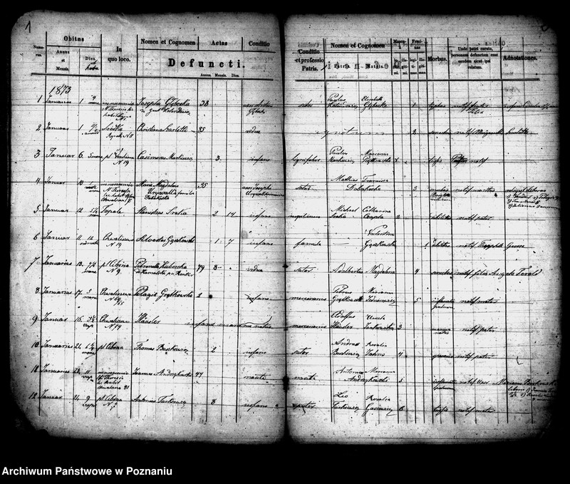 Obraz 2 z jednostki "Księga zgonów"