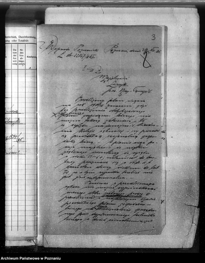 Obraz 7 z jednostki "Majętność leśna Linie w powiecie nowotomyskim"