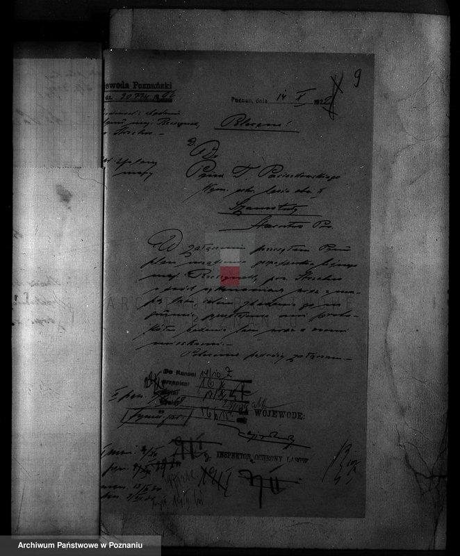 Obraz 14 z jednostki "/Majętność leśna Rzeszynek powiat mogileński"