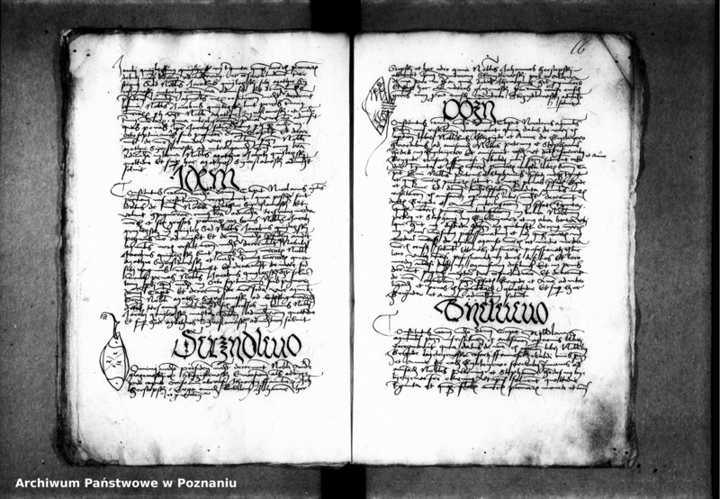 Obraz 19 z jednostki "Inscriptiones, relationes, decreta [inducta]"