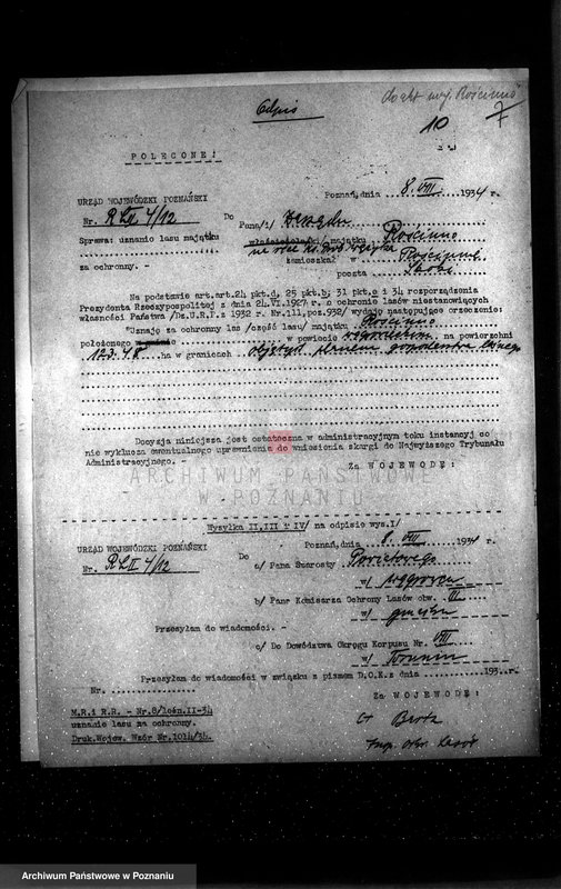 Obraz 14 z jednostki "Nadzór nad gospodarką w lasach majętności Rościnno powiat wągrowiecki"