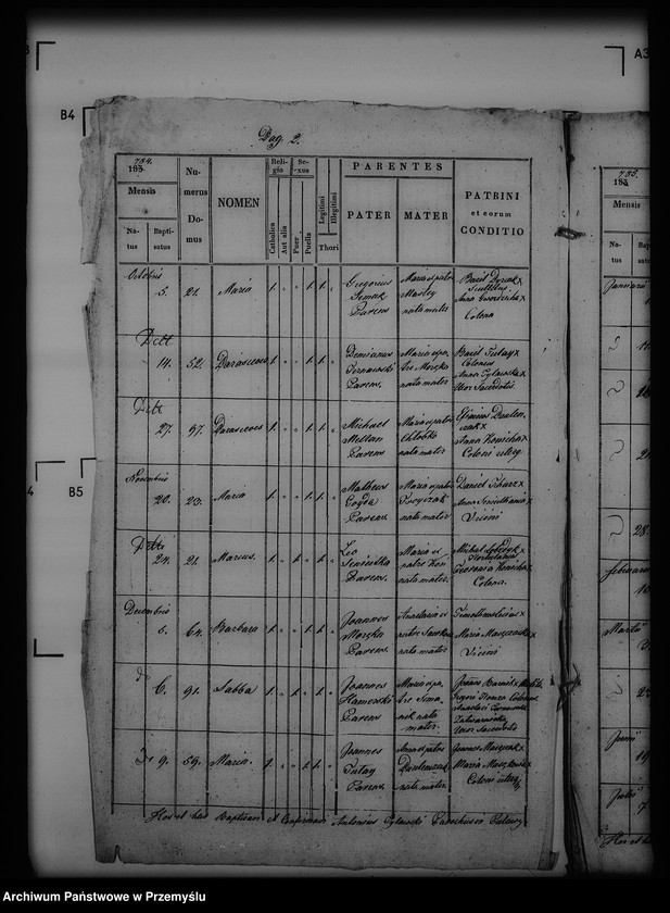 Obraz 6 z jednostki "[Kopie ksiąg metrykalnych parafii Puławy (dekanat Buków)]"