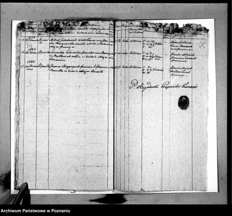 Obraz 16 z jednostki "Duplicat baptisatorum, copulatorum, mortuorum"