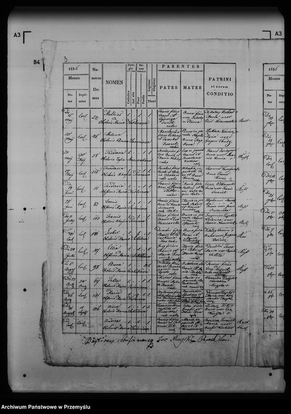 image.from.unit.number "[Kopie ksiąg metrykalnych parafii Smolnik z filią Mików (dekanat Łupków)]"