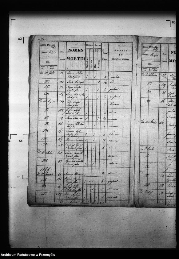 Obraz 20 z jednostki "[Kopie ksiąg metrykalnych parafii Zawadów (dekanat Niemirów)]"