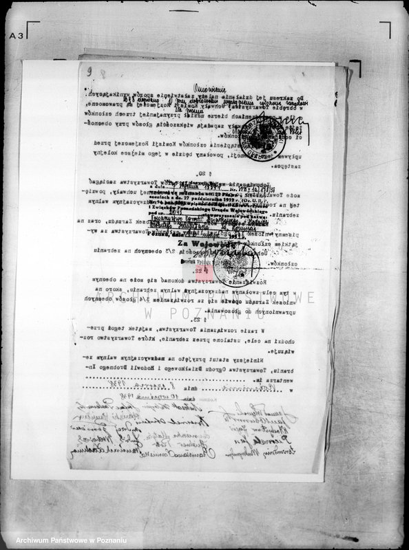 Obraz 15 z jednostki "/Towarzystwo Ogrodu Działkowego i Hodowli Drobnego Inwentarza w Koźminie/"