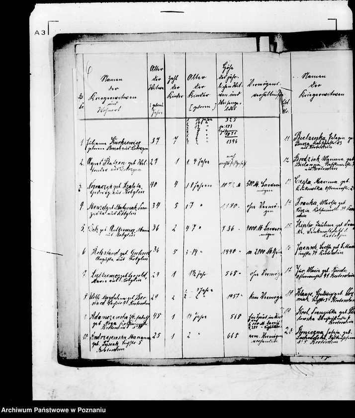 Obraz 10 z jednostki "Anträge auf Bewilligung von Unterstützungen aus der Nationalstiftung."