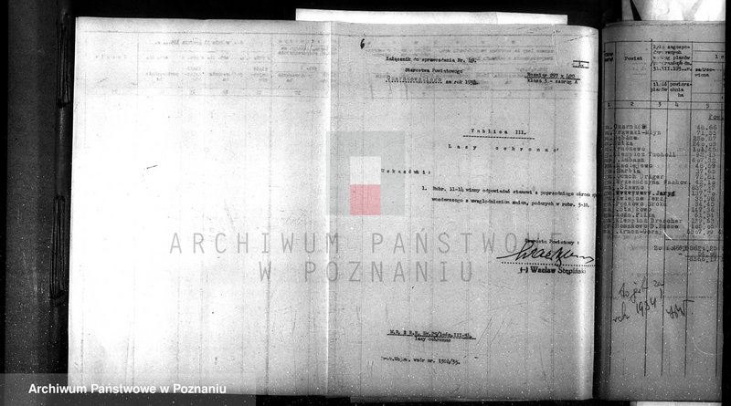 Obraz 11 z jednostki "Sprawozdanie roczne za 1935 rok /komisarzy ochrony lasów/"