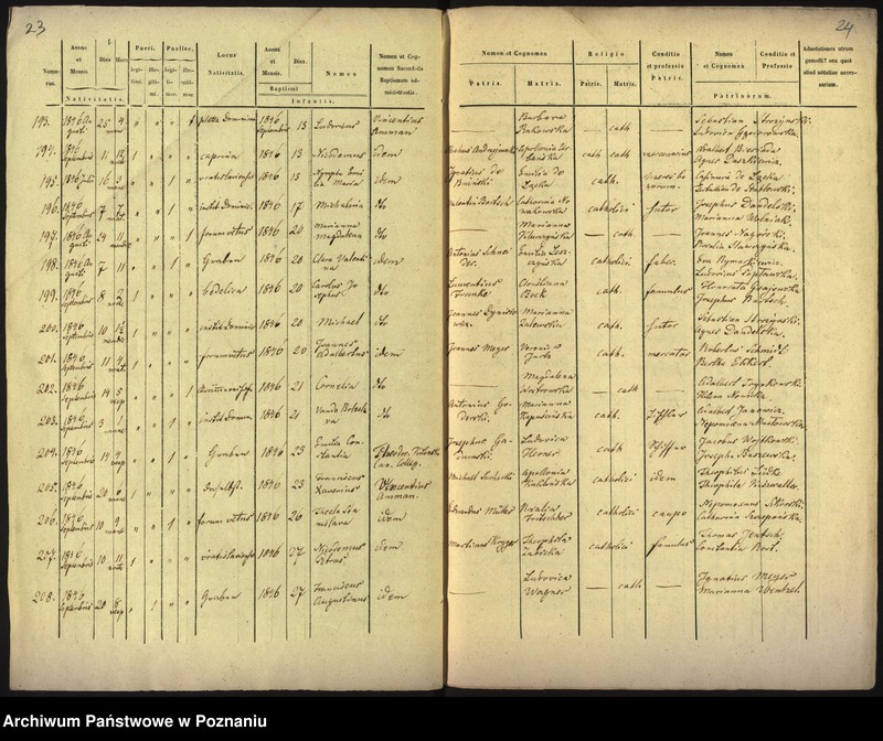 Obraz 14 z jednostki "Księga urodzin"