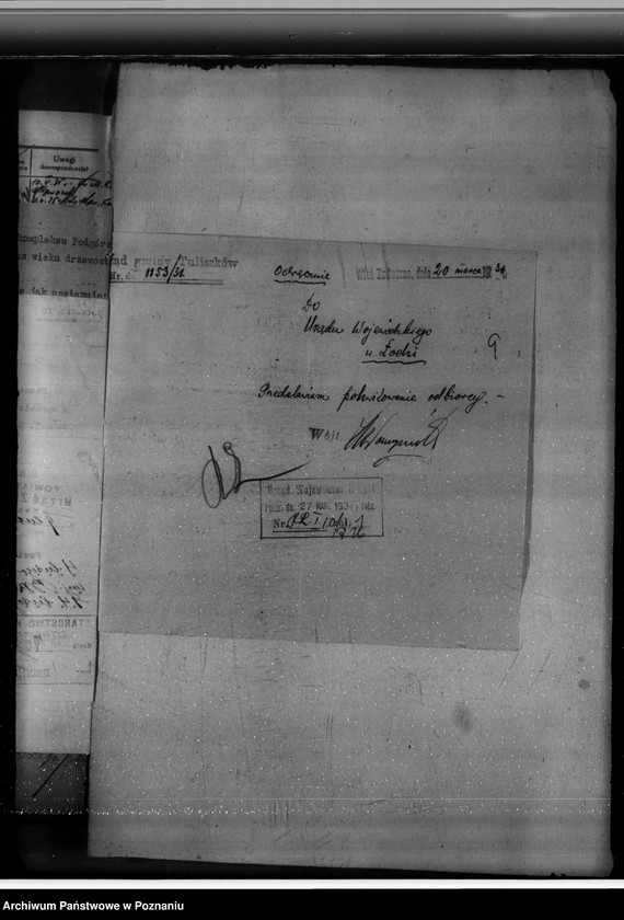 Obraz 13 z jednostki "Lasy majątku Brzeźno powiat koniński"