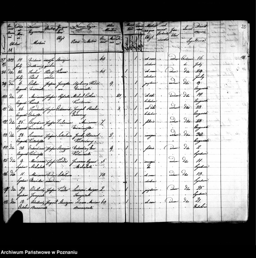image.from.unit.number "Duplicatus baptisatorum, copulatorum, mortuorum"