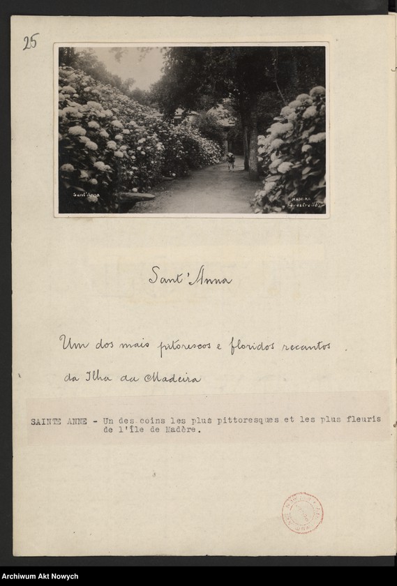 Obraz 1 z kolekcji "Madera111"