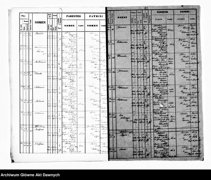image.from.unit.number "Parafia: Niemirów. Dekanat: Lubaczów. Kopie z ksiąg metrykalnych ur., śl., zg. dla miasta Niemirów i wsi: Budomirz, Szczerzec, Huta Kryształowa, Wierzbiany, Wróblaczyn."