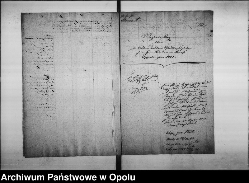 Obraz 13 z jednostki "Acta des Magistrats zu Oppeln betreffend die Einreichung der Nachweisung von dem Schulbesuch der jüdischen Kinder an das Königl[iche] Landraths=Amt. pro 1829"