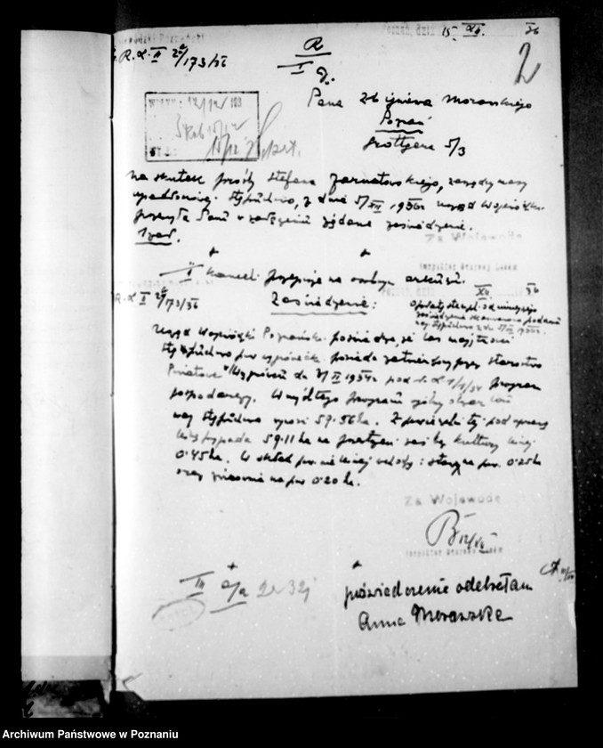 Obraz 6 z jednostki "Las majętności Stępuchowo powiat wągrowiecki"