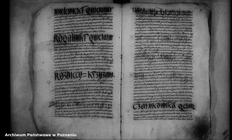 Obraz 6 z jednostki "Inscriptiones [inducta]"