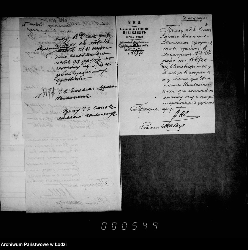 Obraz 17 z jednostki "O porubke i kraže derevev v gorodskich lesach i o raznoj perepiske"