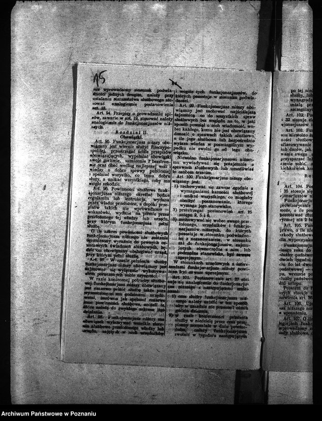 Obraz 19 z jednostki "Ubój zwierząt rzeźnych"