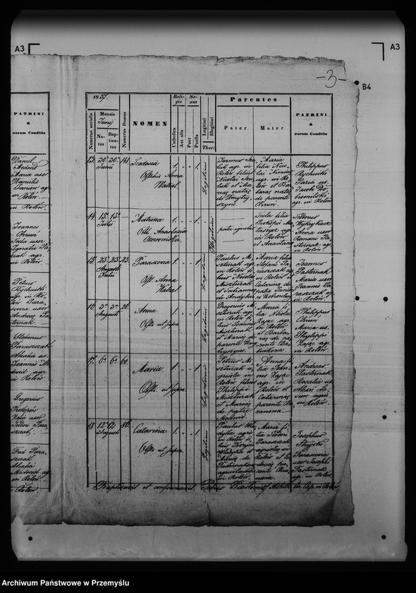 Obraz 7 z jednostki "[Kopie ksiąg metrykalnych parafii Rolów (dekanat Medenice)]"