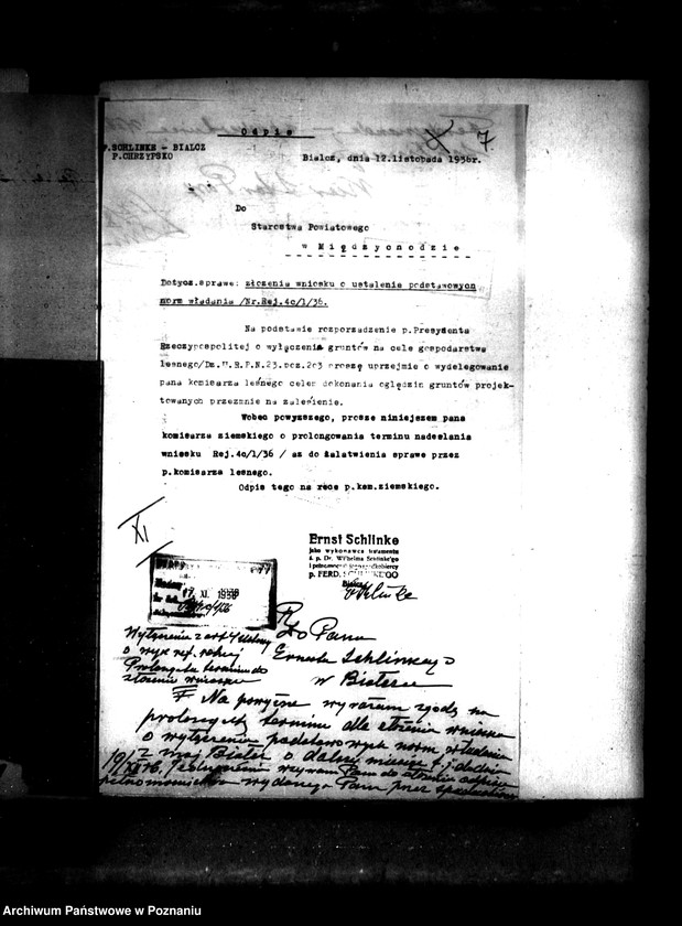 Obraz 11 z jednostki "Majątek Białcz powiat międzychodzki wyłączenie z art. 4/5 ustawy o reformie rolnej Dr Wilhelm Schlinke"