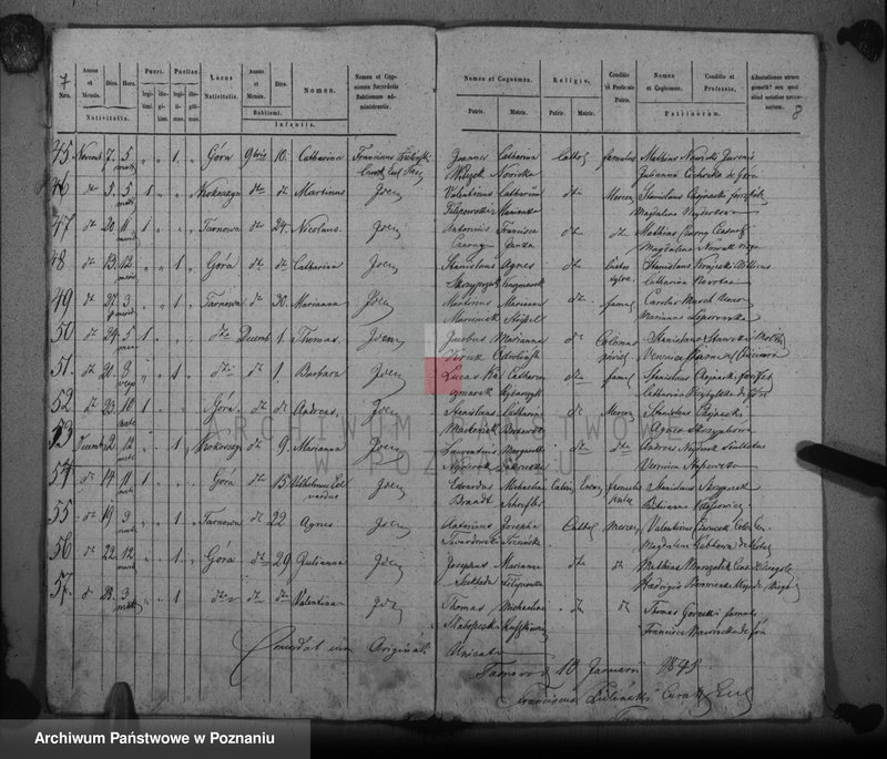 Obraz 7 z jednostki "Duplikat baptisatorum, copulatorum, mortuorum"