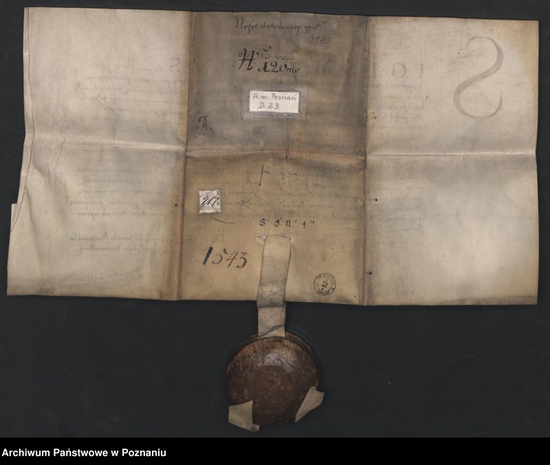 Obraz 6 z jednostki "Zygmunt I Stary, król Polski ... w związku z apelacjami wnoszonymi do sądu królewskiego i starościńskiego zarządza, aby odtąd nie"