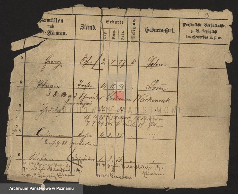 Obraz 5 z jednostki "Dzikowski - Dzyskowska"