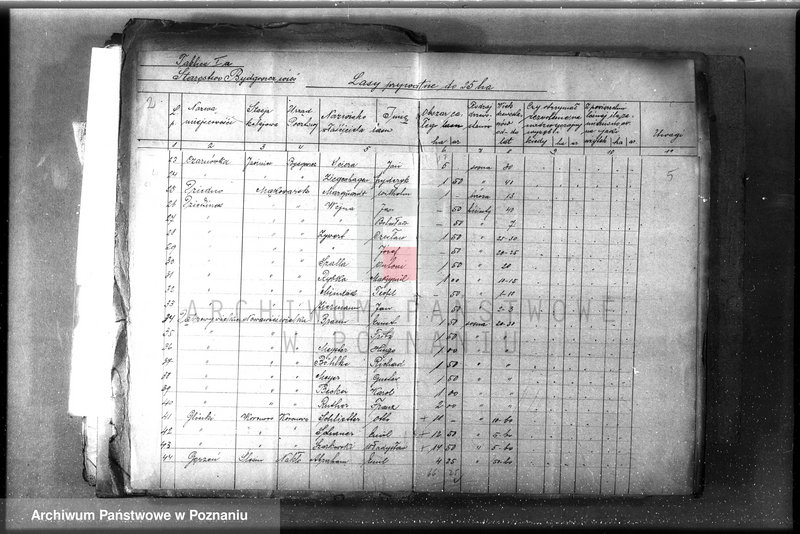 Obraz 7 z jednostki "/Lasy prywatne/ Spis według powiatów"