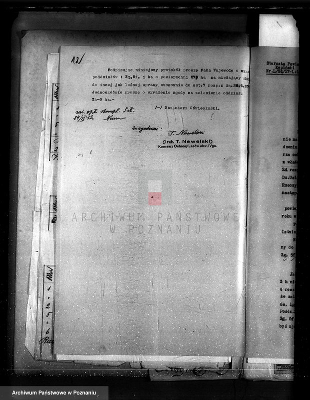 Obraz 16 z jednostki "Nadzór nad gospodarką w lasach majętności Plugawice powiat kępiński"