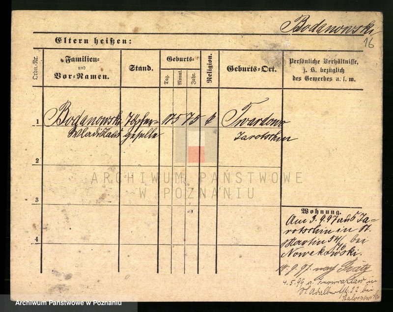 Obraz 18 z jednostki "Bodach - Bogdziewicz"