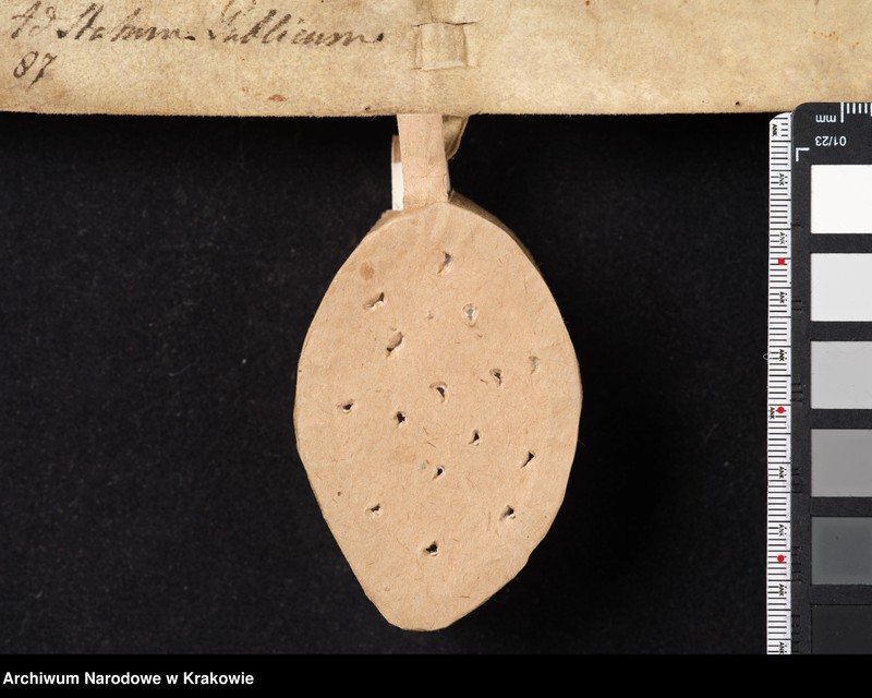 image.from.unit.number "Paweł biskup krakowski zawiera ugodę z Leszkiem księciem krakowskim, sandomierskim i sieradzkim, który za ujęcie i więzienie biskupa oraz wyrządzone"