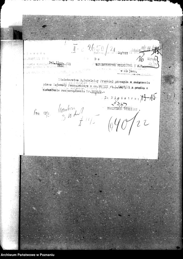 Obraz 20 z jednostki "Weterynaria"