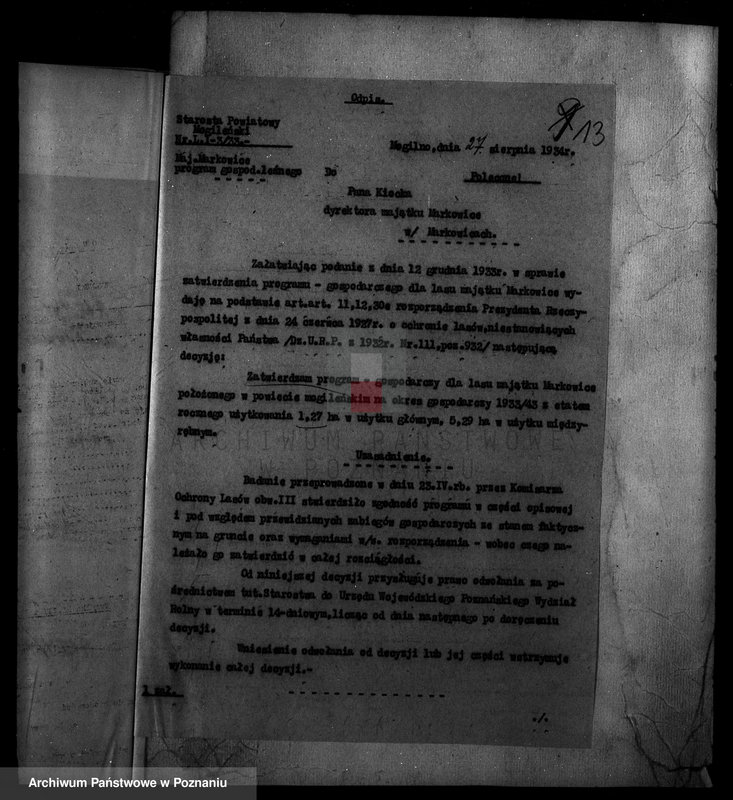 Obraz 18 z jednostki "Nadzór nad gospodarką w lasach majętności Markowice powiat mogileński"