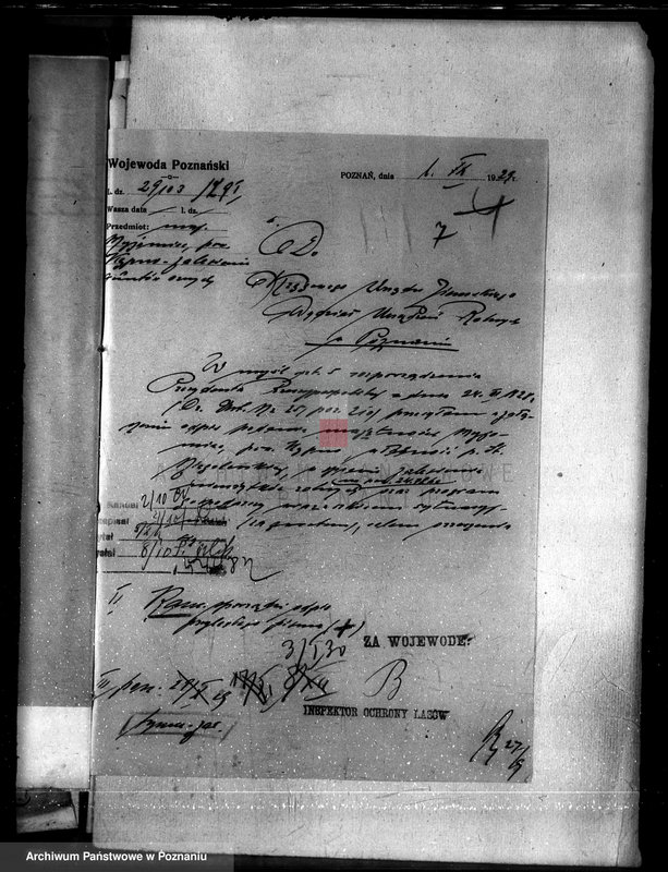 Obraz 11 z jednostki "Majętność Myjowice powiat kępiński"