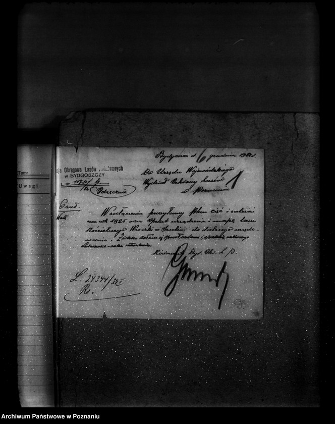 Obraz 5 z jednostki "Gospodarka leśna kościoła katolickiego Wieszki powiat szubiński"