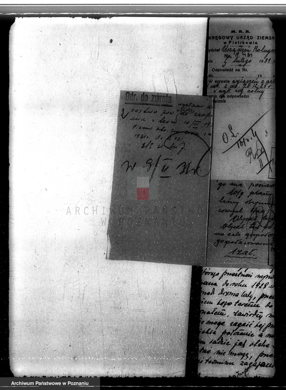 Obraz 6 z jednostki "Sprawa wyłączenia obszarów leśnych z majątku Bogusławice powiatu kolskiego"